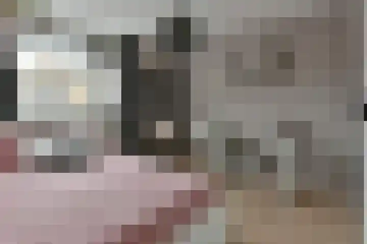 Roerdomp 27 Kockengen thumbnail 18