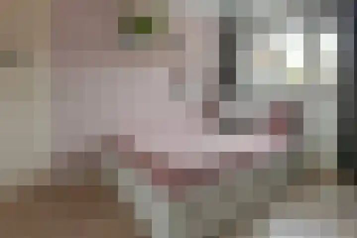 Roerdomp 27 Kockengen thumbnail 19
