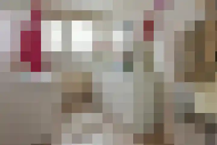 Roerdomp 27 Kockengen thumbnail 20