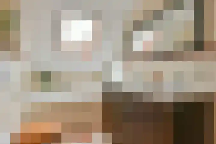 Roerdomp 27 Kockengen thumbnail 21