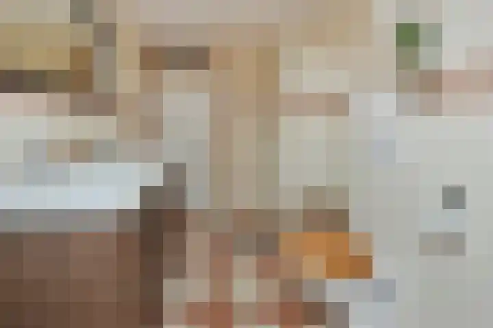 Roerdomp 27 Kockengen thumbnail 22