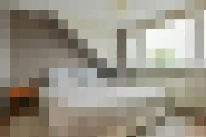 Roerdomp 27 Kockengen thumbnail 26
