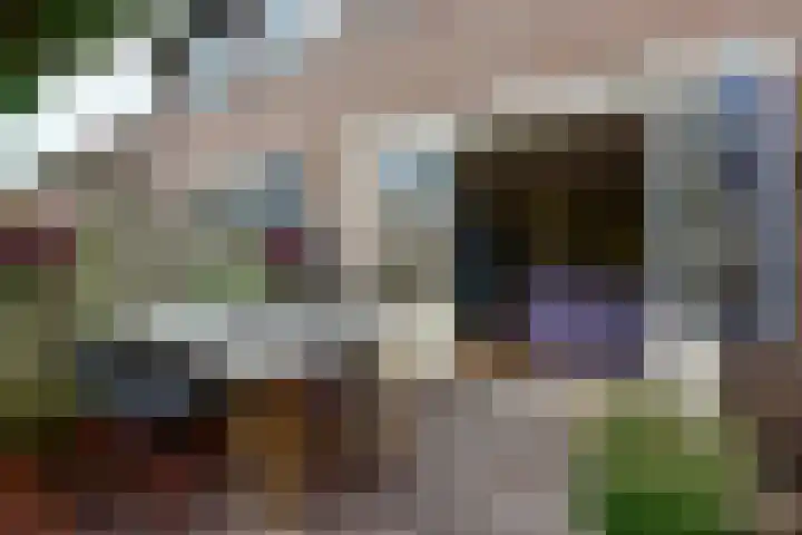 Roerdomp 27 Kockengen thumbnail 27