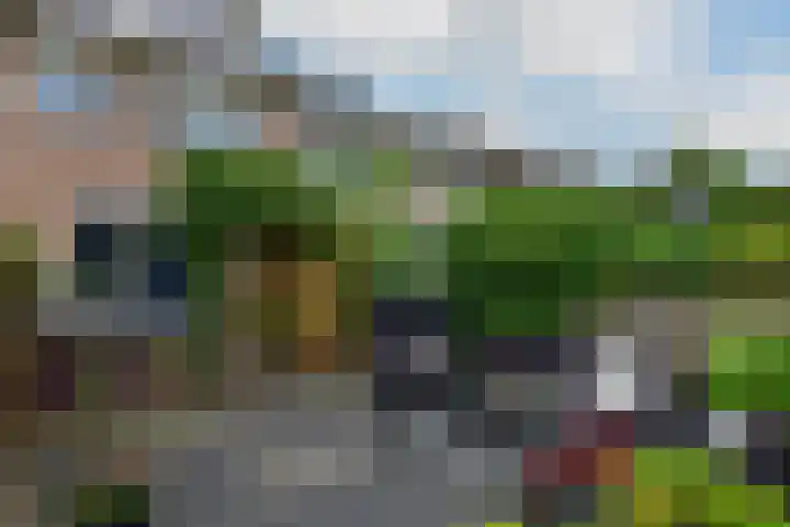 Roerdomp 27 Kockengen thumbnail 28