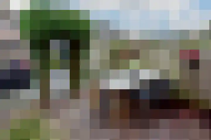 Roerdomp 27 Kockengen thumbnail 29
