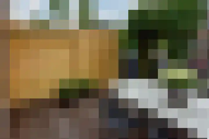 Roerdomp 27 Kockengen thumbnail 30