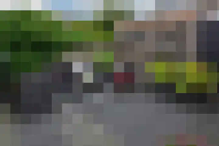 Roerdomp 27 Kockengen thumbnail 31