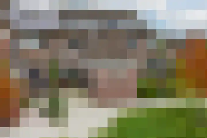 Roerdomp 27 Kockengen thumbnail 32
