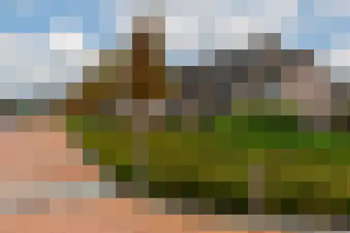 Roerdomp 27 Kockengen thumbnail 33