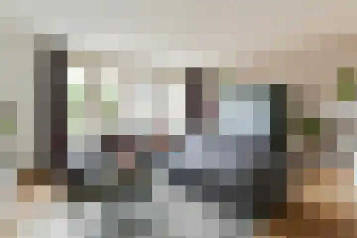 Roerdomp 27 Kockengen thumbnail 8
