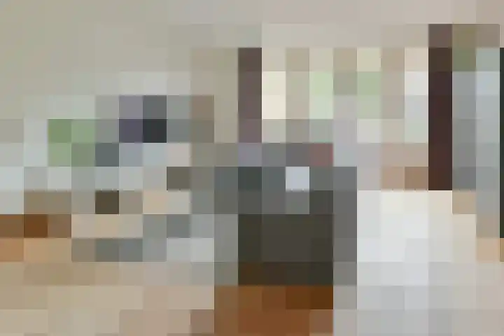 Roerdomp 27 Kockengen thumbnail 9