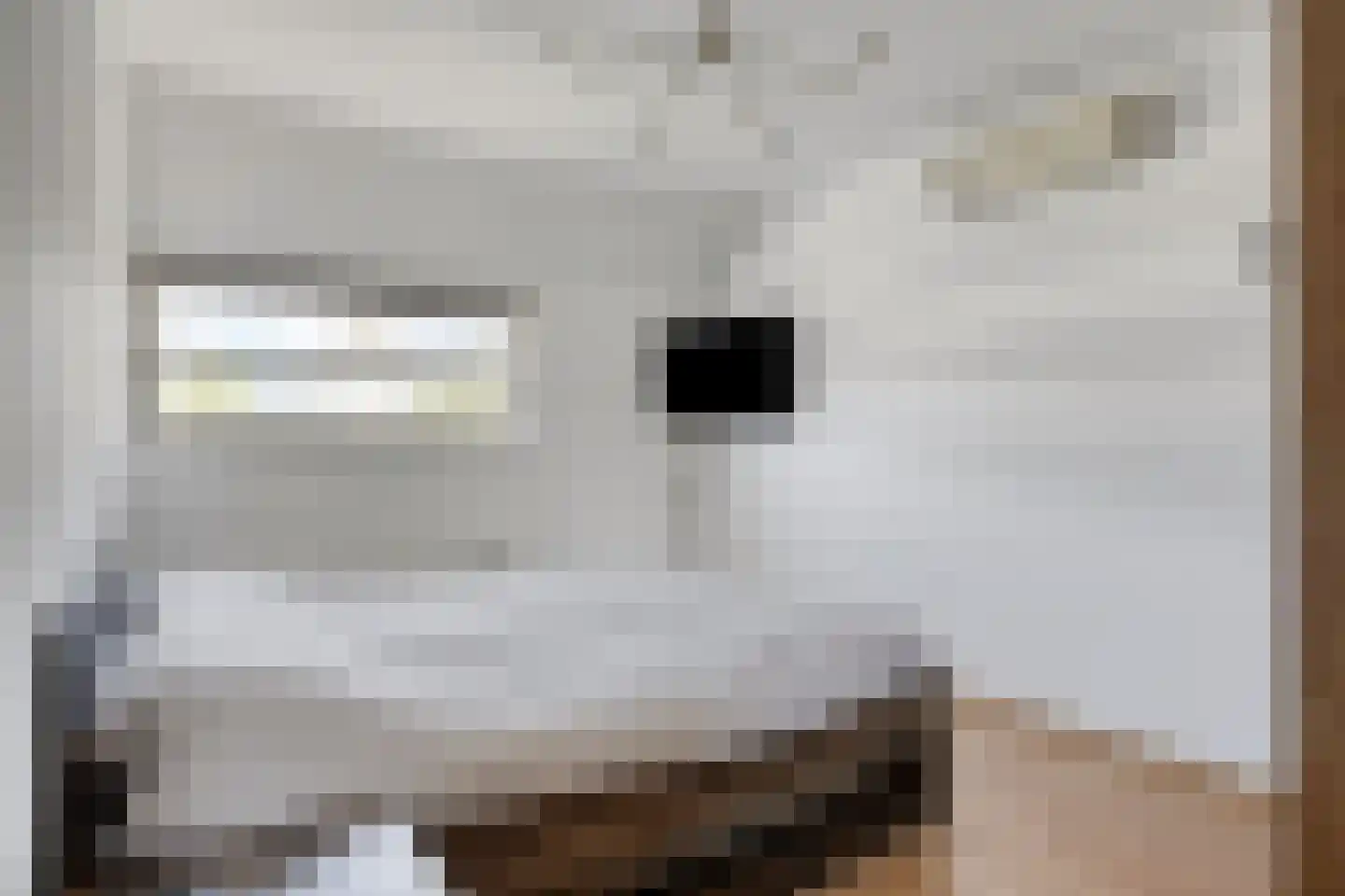 Roerdomp 37 's-Hertogenbosch thumbnail 16