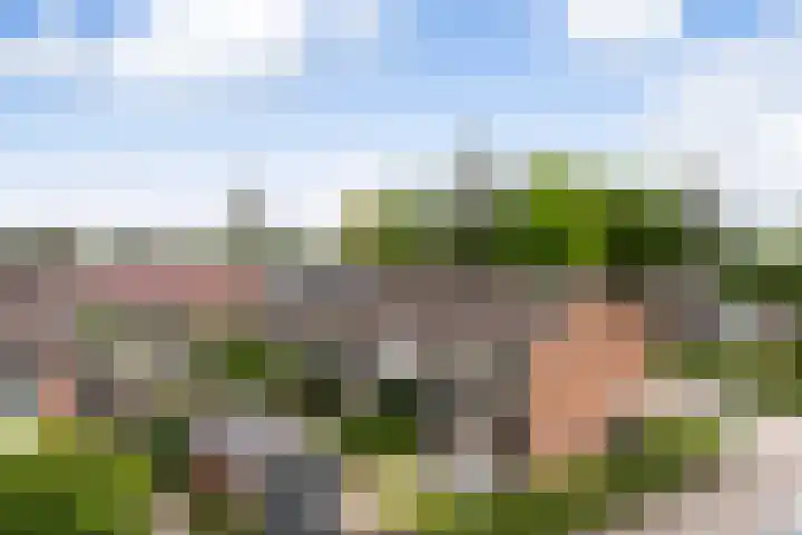 Roerdomp 37 's-Hertogenbosch thumbnail 19