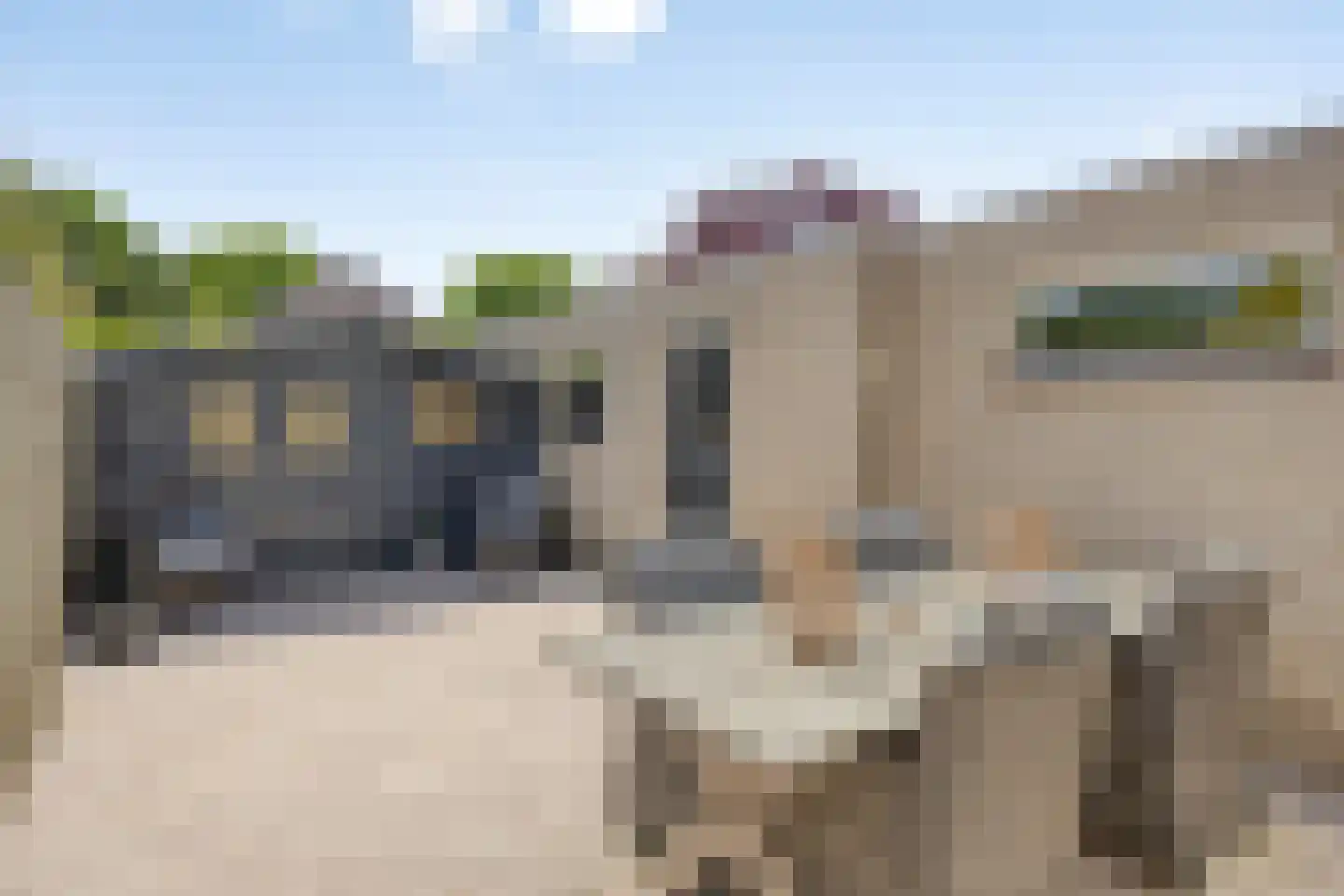 Roerdomp 37 's-Hertogenbosch foto 2