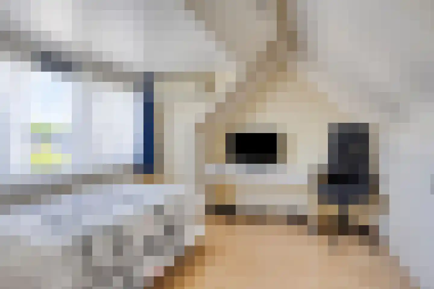 Roerdomp 37 's-Hertogenbosch thumbnail 22