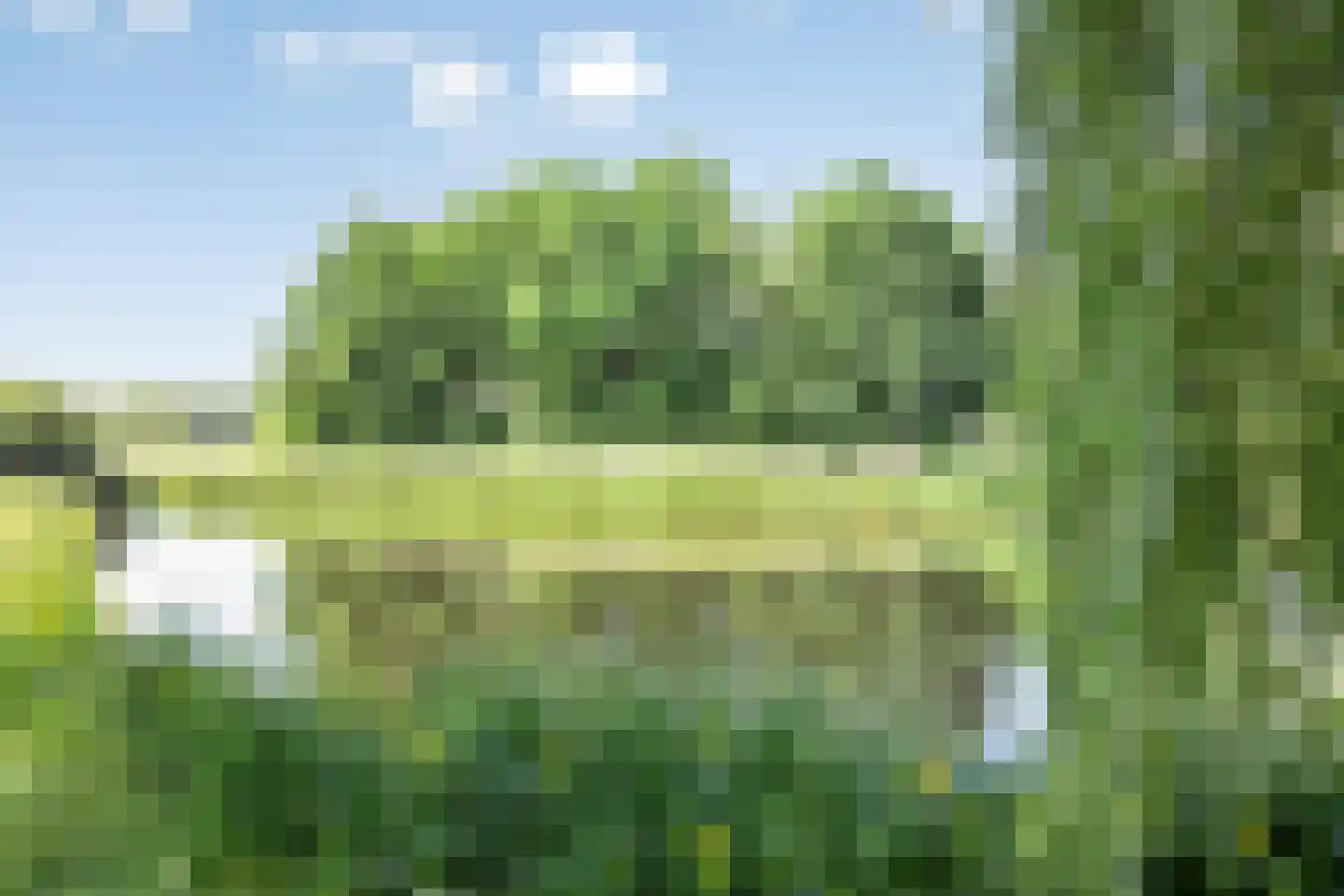 Roerdomp 37 's-Hertogenbosch thumbnail 26