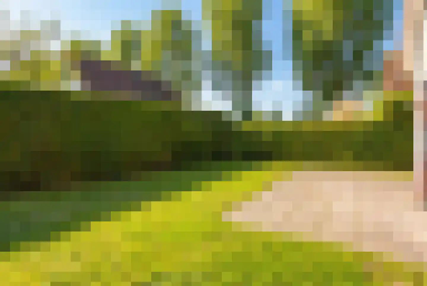 Roerdomp 37 's-Hertogenbosch thumbnail 5