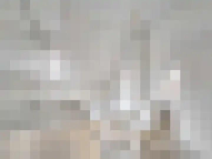 Roerdomp 44 Kockengen thumbnail 20