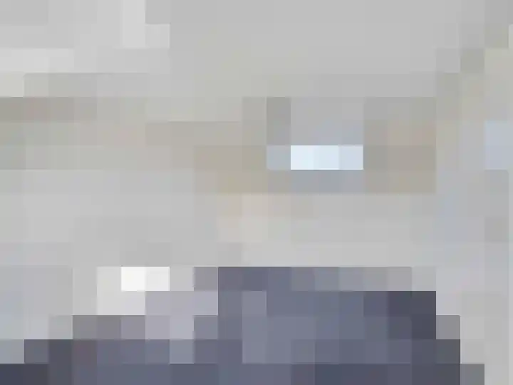 Roerdomp 44 Kockengen thumbnail 22