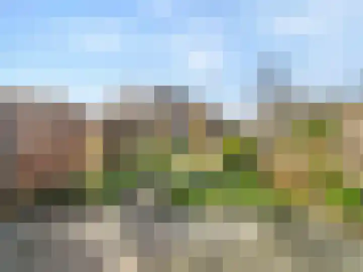Roerdomp 44 Kockengen thumbnail 24