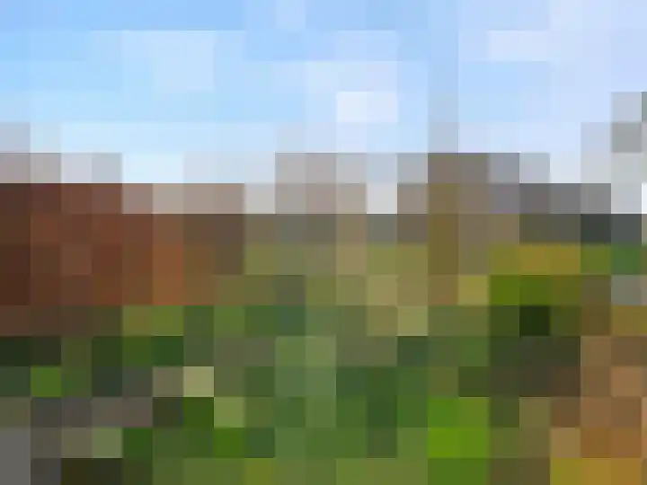 Roerdomp 44 Kockengen thumbnail 25