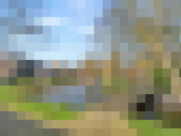 Roerdomp 44 Kockengen thumbnail 28