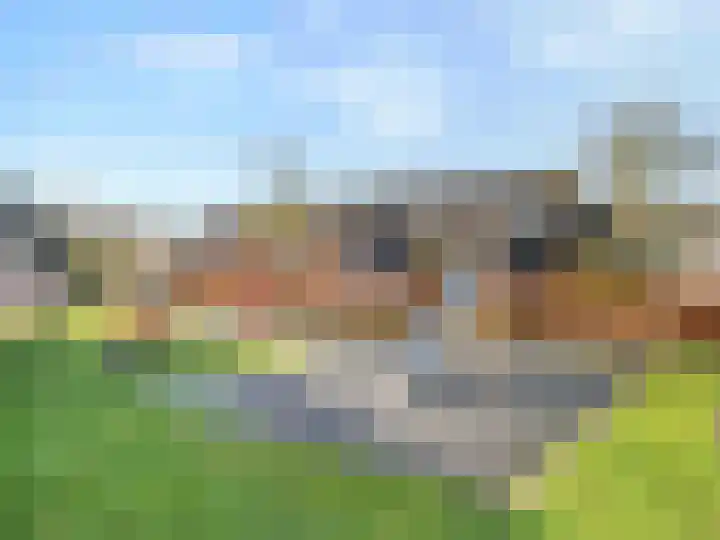 Roerdomp 44 Kockengen thumbnail 29