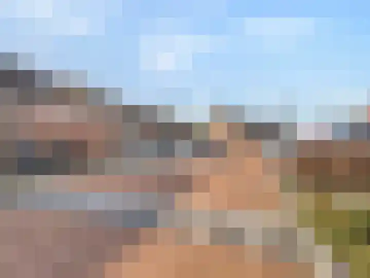 Roerdomp 44 Kockengen thumbnail 31