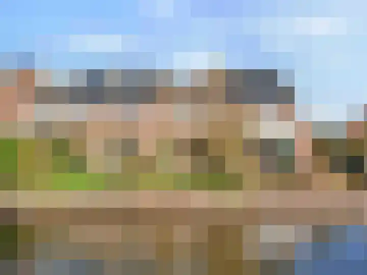 Roerdomp 44 Kockengen thumbnail 4