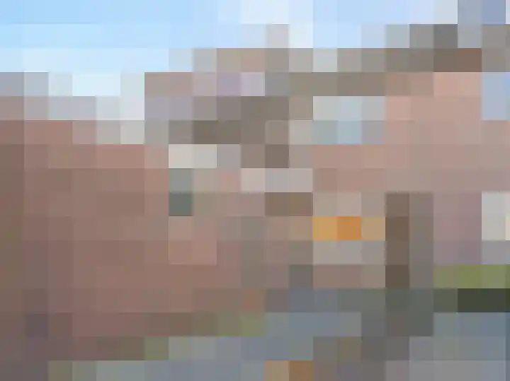 Roerdomp 44 Kockengen thumbnail 6