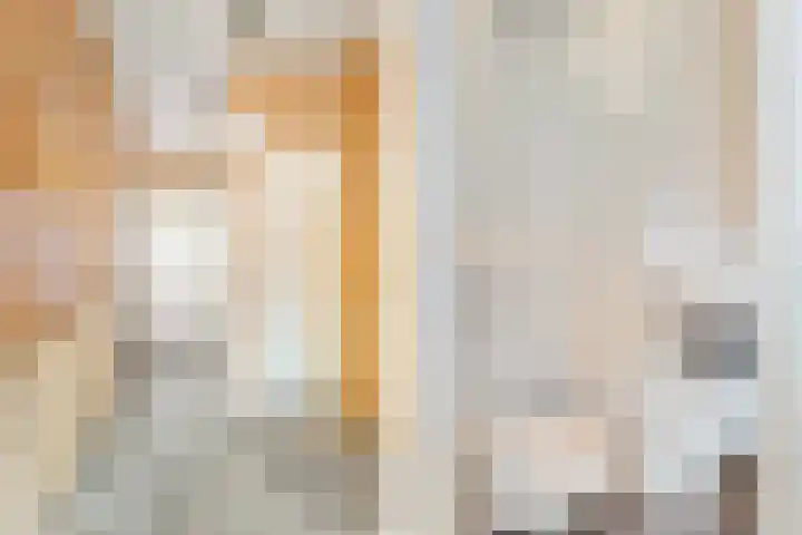 Roerdomp 44 Kockengen thumbnail 8