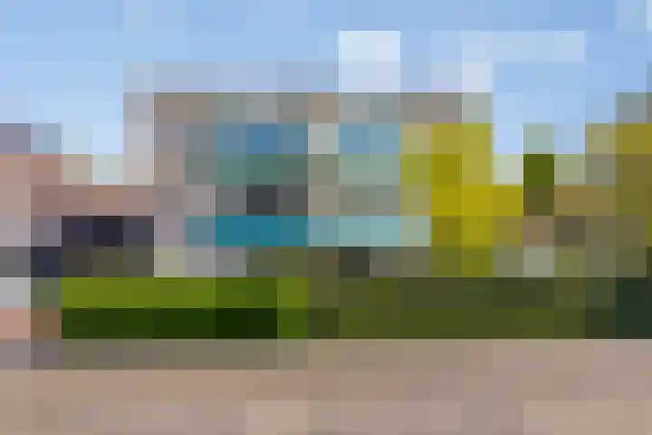Roerdomp 5 Rijssen