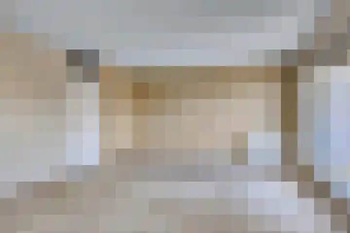 Roerdomp 5 Rijssen thumbnail 14