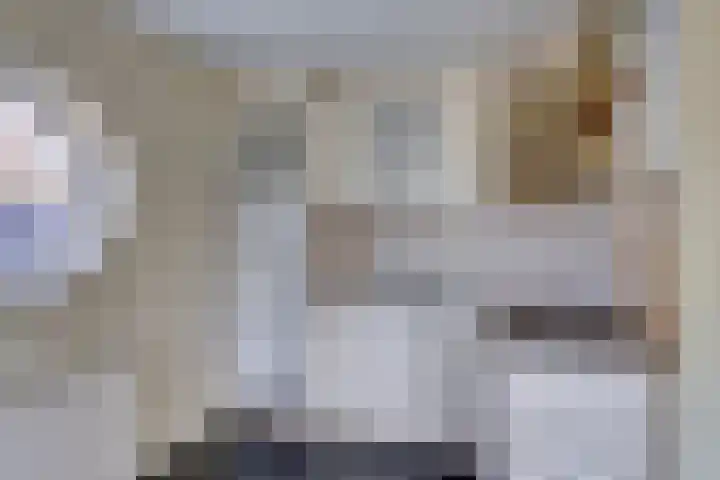 Roerdomp 5 Rijssen thumbnail 18