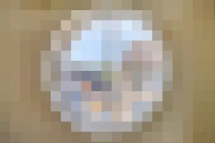 Roerdomp 5 Rijssen thumbnail 19