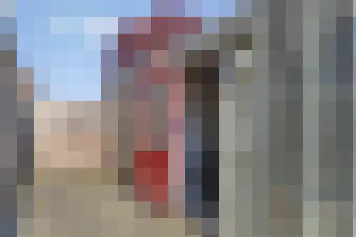 Roerdomp 5 Rijssen thumbnail 25