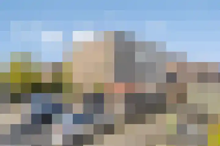 Roerdomp 5 Rijssen thumbnail 26