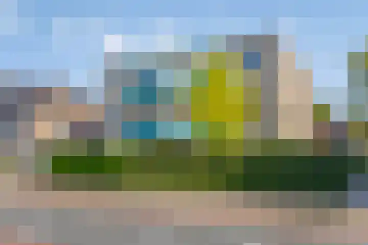 Roerdomp 5 Rijssen thumbnail 6