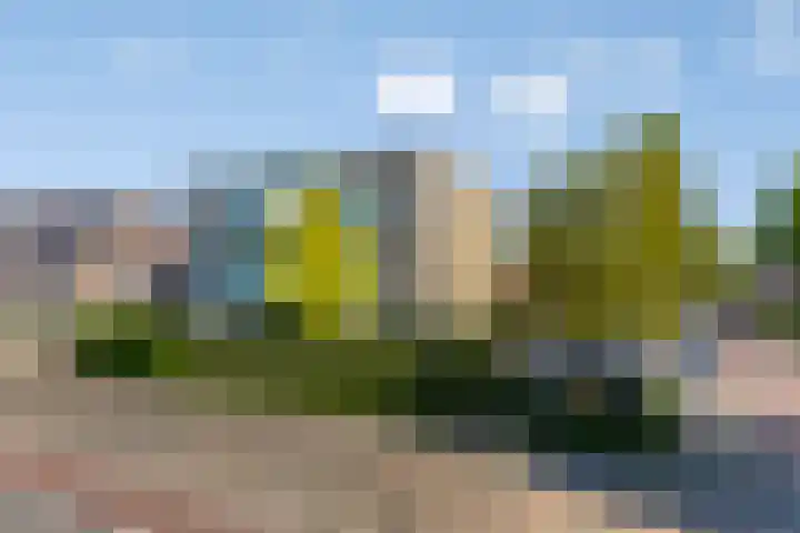 Roerdomp 5 Rijssen thumbnail 8