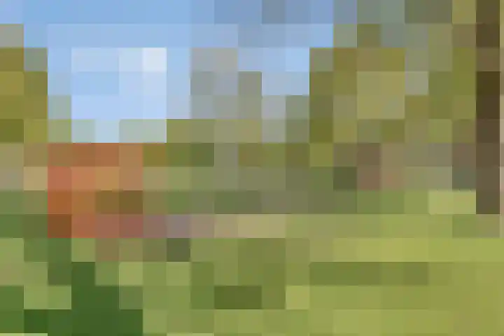Roerdomp 5 Rijssen thumbnail 9