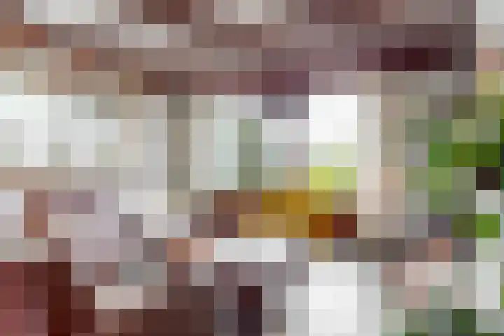 Roerdomp 57 Kockengen thumbnail 11