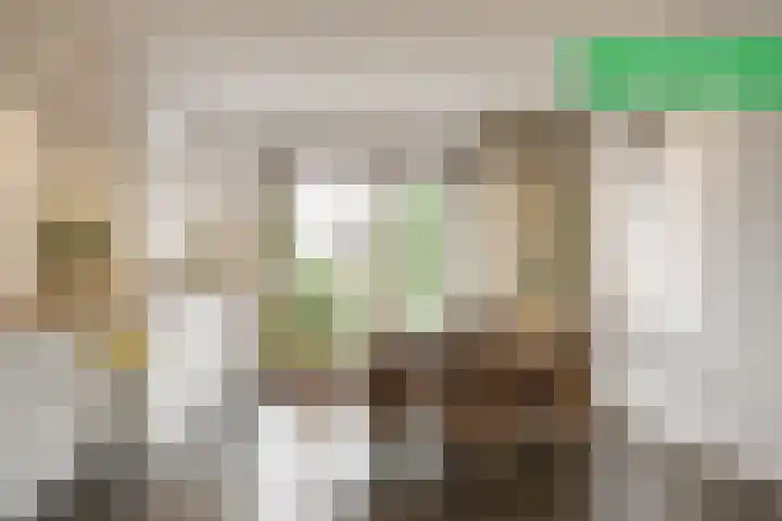 Roerdomp 57 Kockengen thumbnail 14