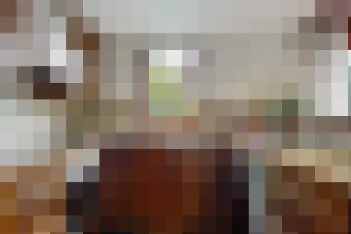 Roerdomp 57 Kockengen thumbnail 17