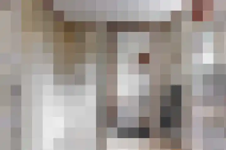 Roerdomp 57 Kockengen thumbnail 23
