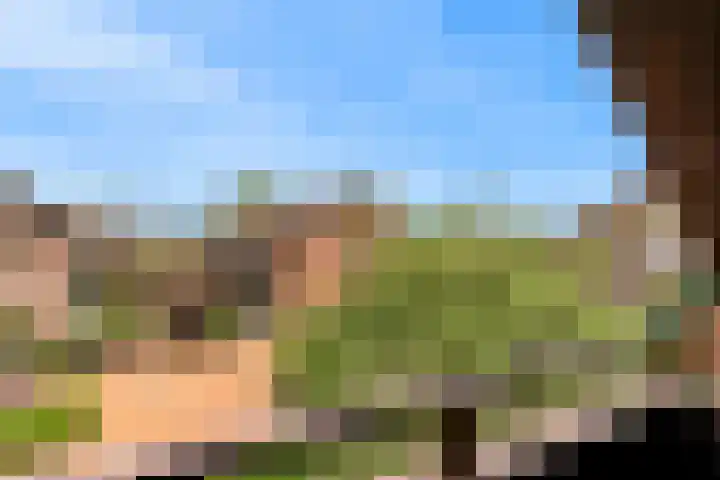 Roerdomp 57 Kockengen thumbnail 28
