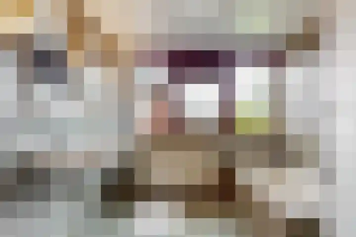 Roerdomp 57 Kockengen thumbnail 35