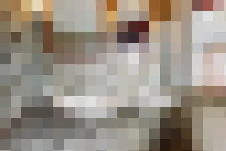 Roerdomp 57 Kockengen thumbnail 38