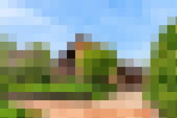 Roerdomp 57 Kockengen thumbnail 40