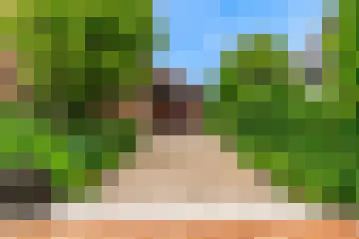 Roerdomp 57 Kockengen thumbnail 41