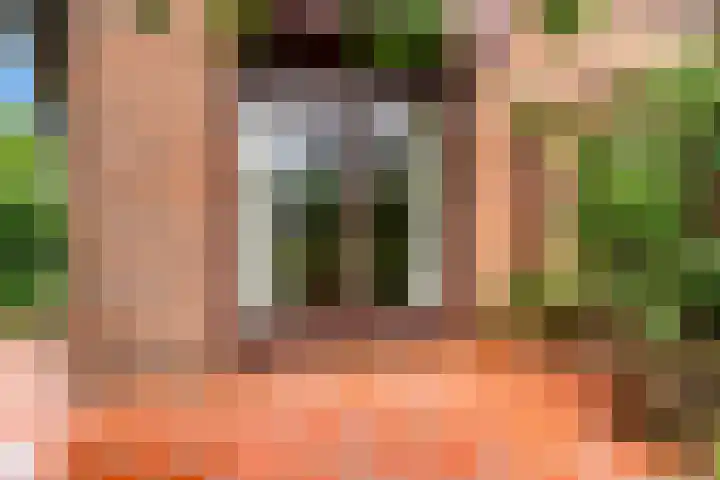 Roerdomp 57 Kockengen thumbnail 43